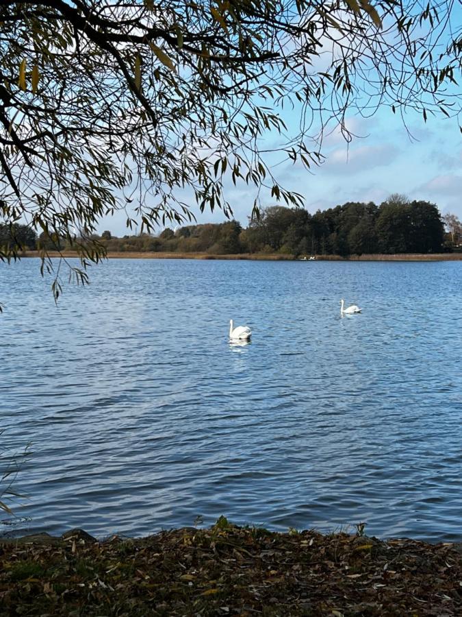 Sweet App Am See Ponitz am See Extérieur photo